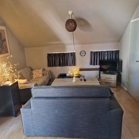 Mon Chalet En Ariege Avec Piscine Daumazan-sur-Arize Eksteriør bilde