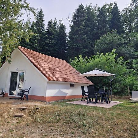 Mon Chalet En Ariege Avec Piscine Daumazan-sur-Arize Eksteriør bilde