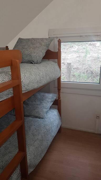 Mon Chalet En Ariege Avec Piscine Daumazan-sur-Arize Eksteriør bilde