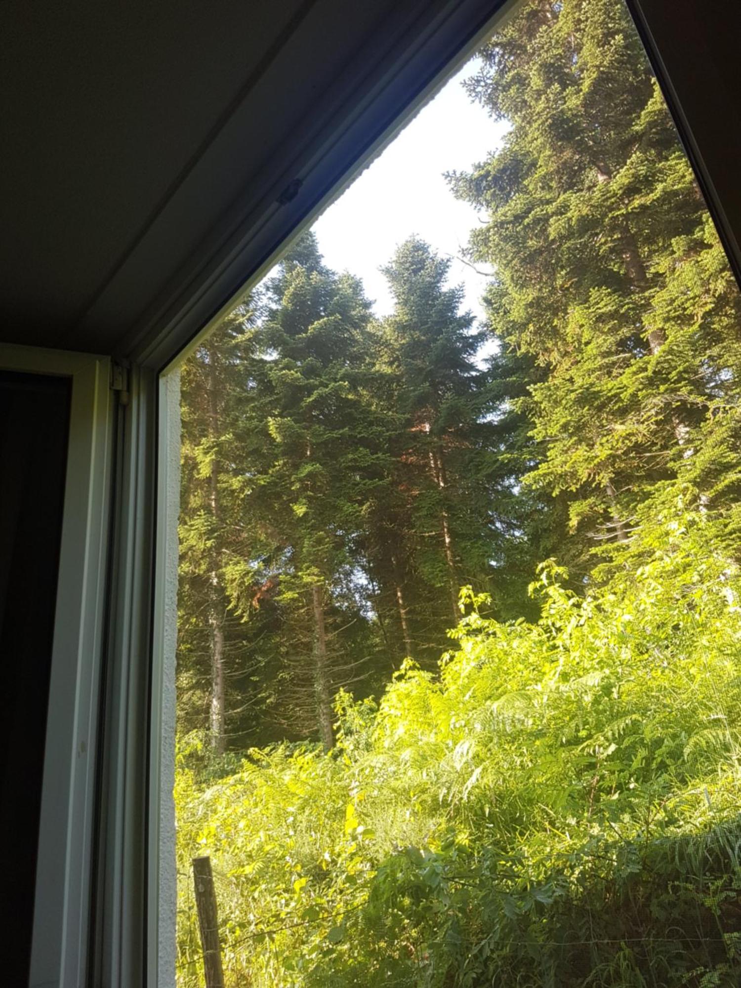 Mon Chalet En Ariege Avec Piscine Daumazan-sur-Arize Eksteriør bilde
