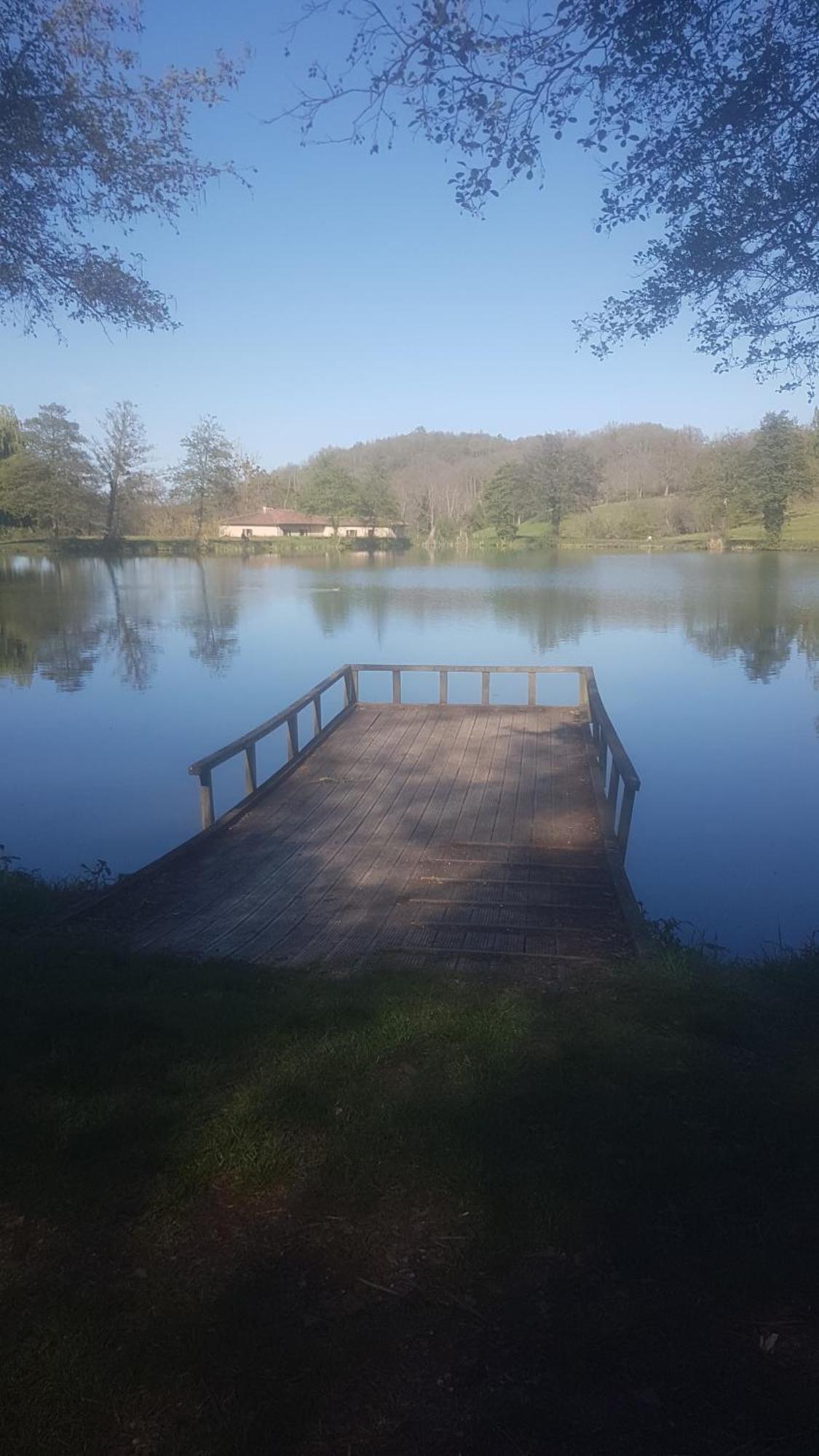 Mon Chalet En Ariege Avec Piscine Daumazan-sur-Arize Eksteriør bilde