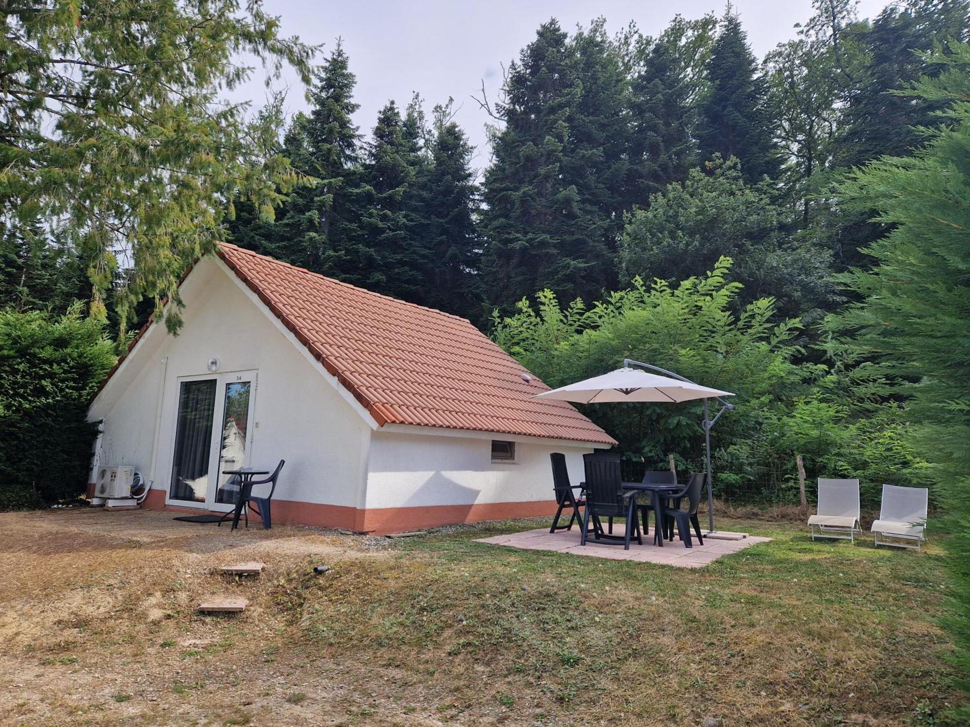 Mon Chalet En Ariege Avec Piscine Daumazan-sur-Arize Eksteriør bilde