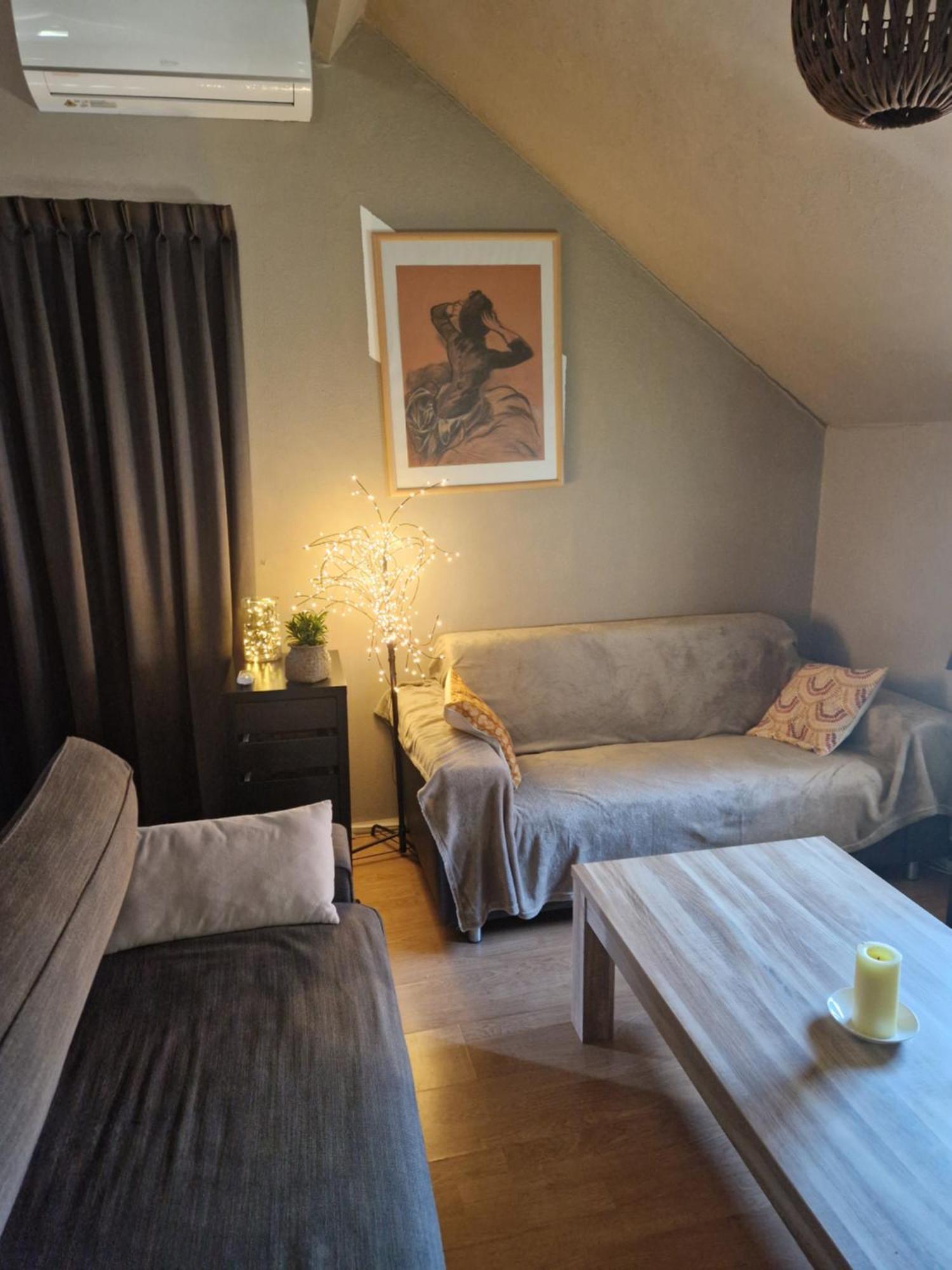 Mon Chalet En Ariege Avec Piscine Daumazan-sur-Arize Eksteriør bilde